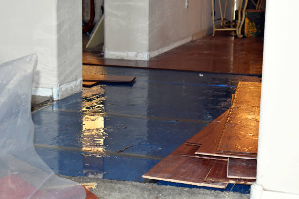 Professional Water Extraction technician working in Brethren, MI